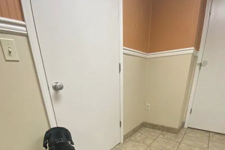 Oak Grove Animal Hospital