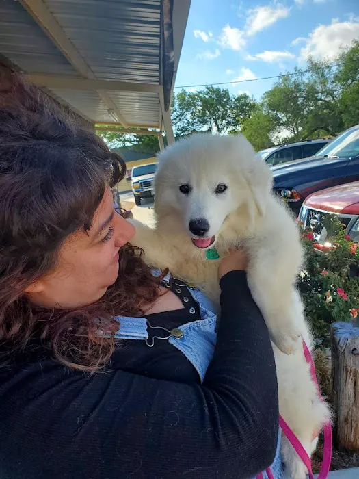 Coupland Veterinary Hospital - Dr. Arlon Graef, DVM 9