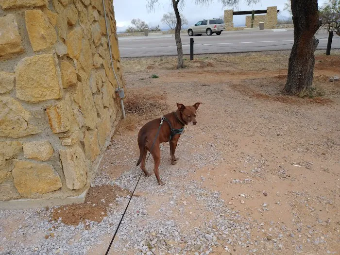 Coupland Veterinary Hospital - Dr. Arlon Graef, DVM 6