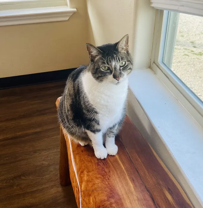 Coupland Veterinary Hospital - Dr. Arlon Graef, DVM 5