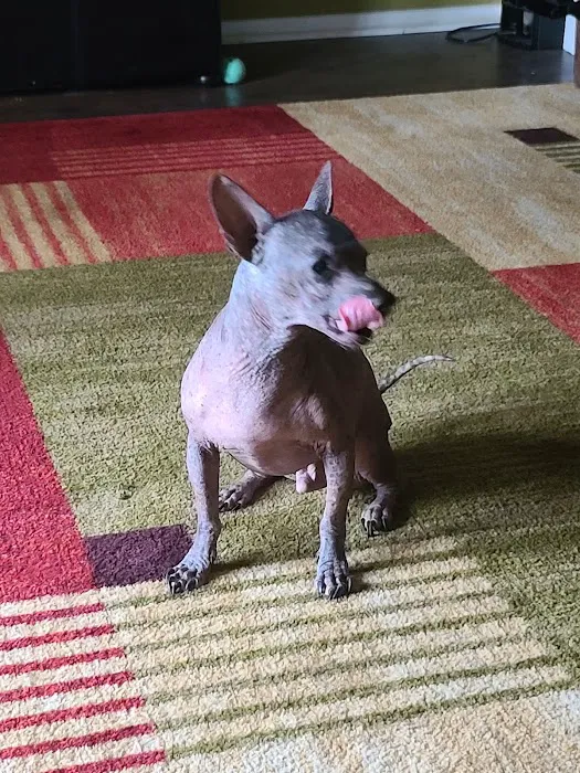 Coupland Veterinary Hospital - Dr. Arlon Graef, DVM 7