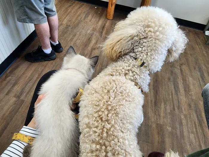 Coupland Veterinary Hospital - Dr. Arlon Graef, DVM 4