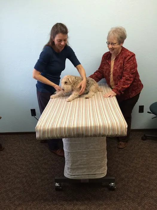 All Pets Health and Rehab, LLC 12