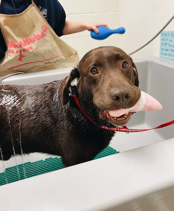 Ark Animal Hospital 12