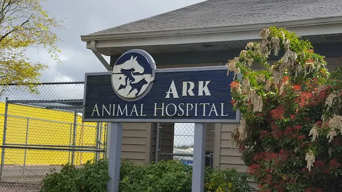 Ark Animal Hospital 12