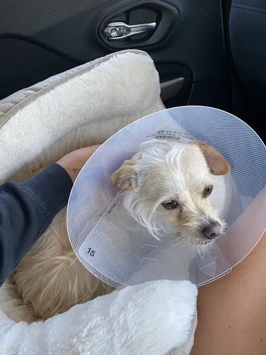 Ark Animal Hospital 12
