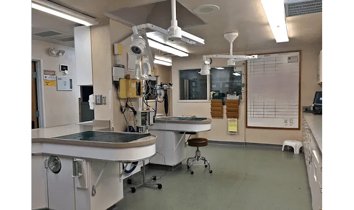 Bush Animal Hospital 10