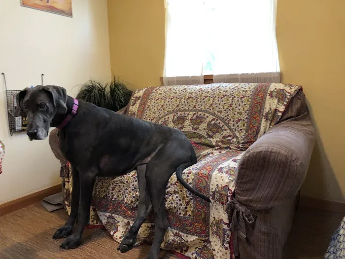 Healing Paws Wellness Center 9