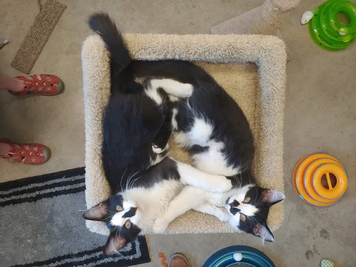 Healing Paws Wellness Center 5