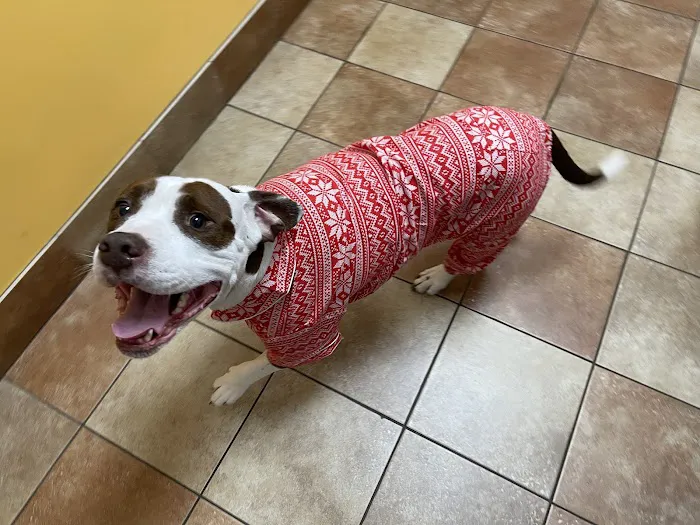Banfield Pet Hospital 3