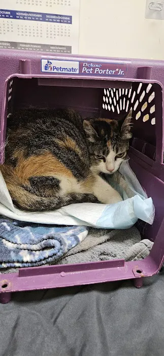 Banfield Pet Hospital 6