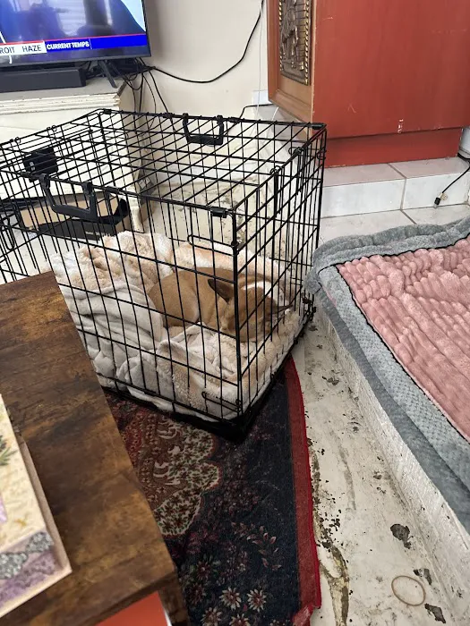 Banfield Pet Hospital 9