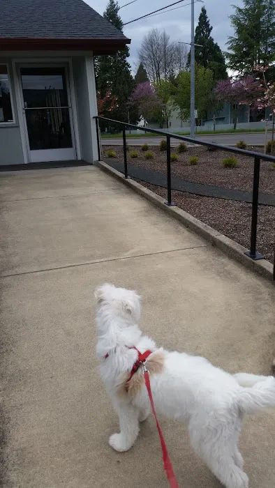 Cascade Animal Clinic 2