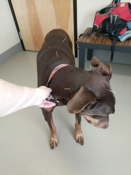 Cascade Animal Clinic 7