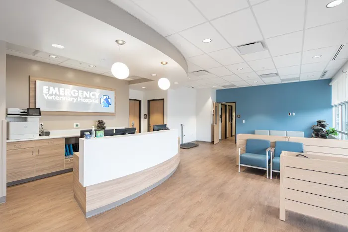 Emergency Veterinary Hospital 8