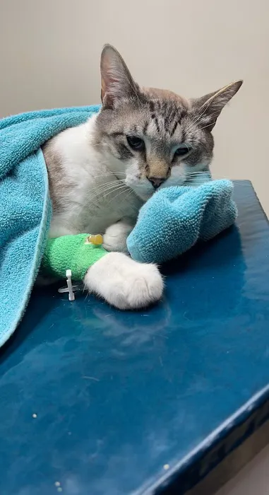 Emergency Veterinary Hospital 6