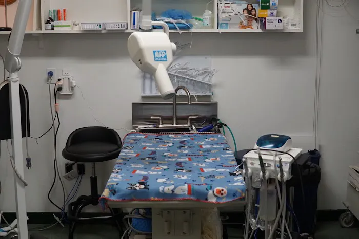 Emergency Veterinary Hospital 1