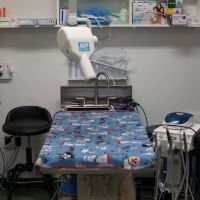 Emergency Veterinary Hospital ico