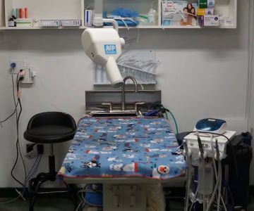 Emergency Veterinary Hospital