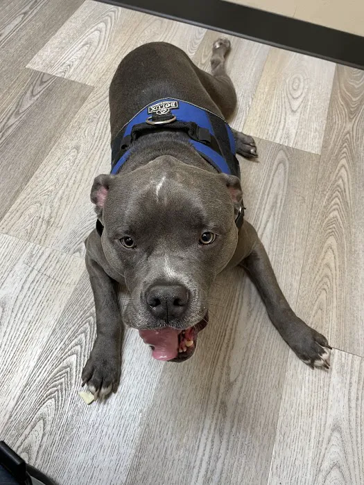 Eugene Animal Hospital PC 3