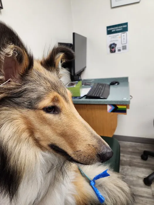 Animal Health Associates 7