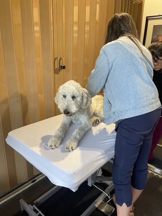 Balance Veterinary Care 1
