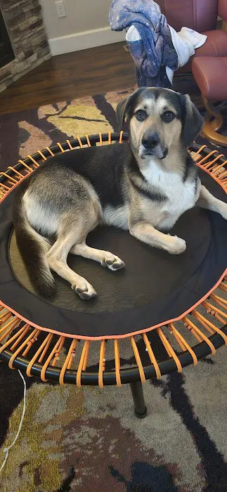 Balance Veterinary Care 9