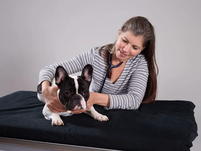 Balance Veterinary Care 2