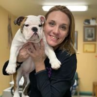 Dill Veterinary Hospital & Reproductive Services ico