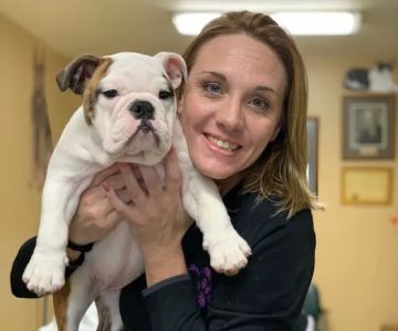 Dill Veterinary Hospital & Reproductive Services