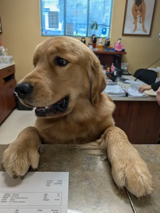 Dill Veterinary Hospital & Reproductive Services 9