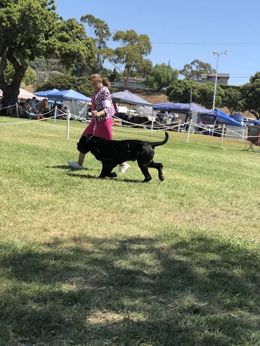 Dill Veterinary Hospital & Reproductive Services 7