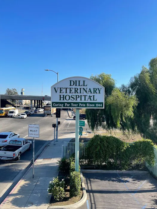 Dill Veterinary Hospital & Reproductive Services 4