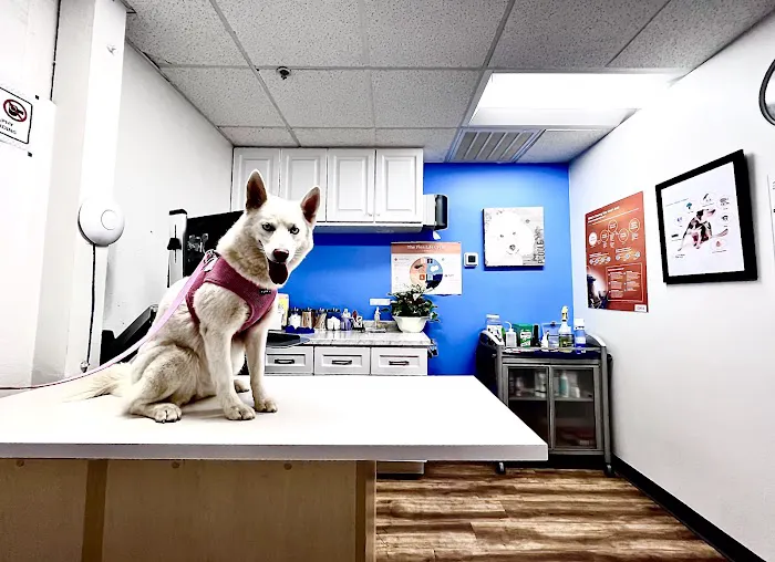 Foothill Vet Clinic 12