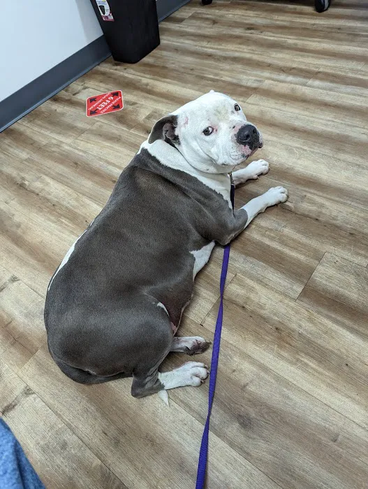 Foothill Vet Clinic 12