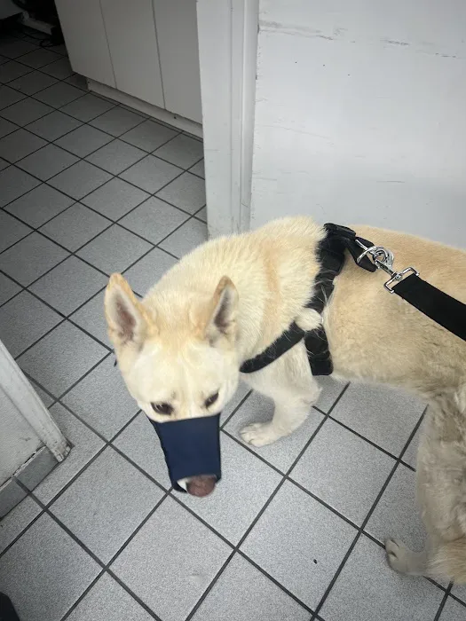 San Fernando Pet Hospital 12