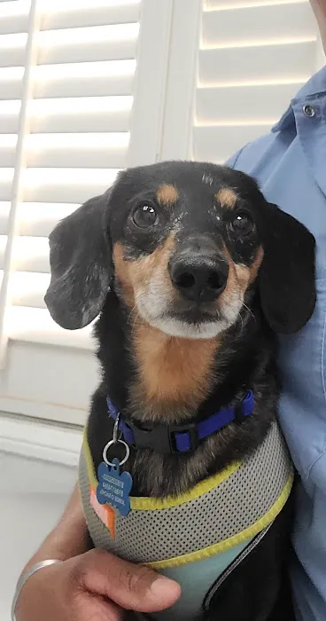 San Fernando Pet Hospital 12