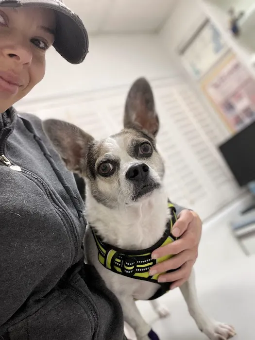 San Fernando Pet Hospital 12