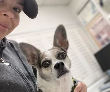 San Fernando Pet Hospital