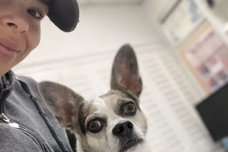 San Fernando Pet Hospital