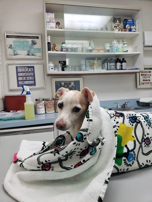 San Fernando Pet Hospital 12