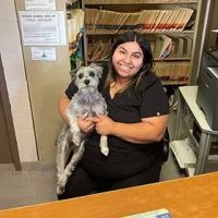 Granada Veterinary Clinic ico
