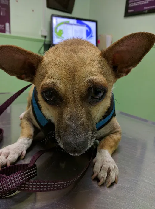 Vet Care Animal Center 12
