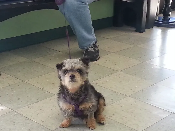 Vet Care Animal Center 12