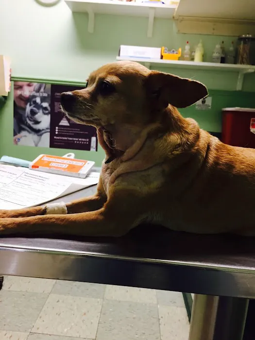 Vet Care Animal Center 12