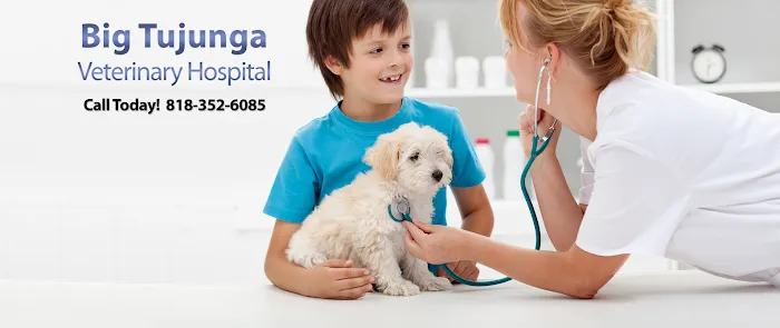 Big Tujunga Vet Hospital 6