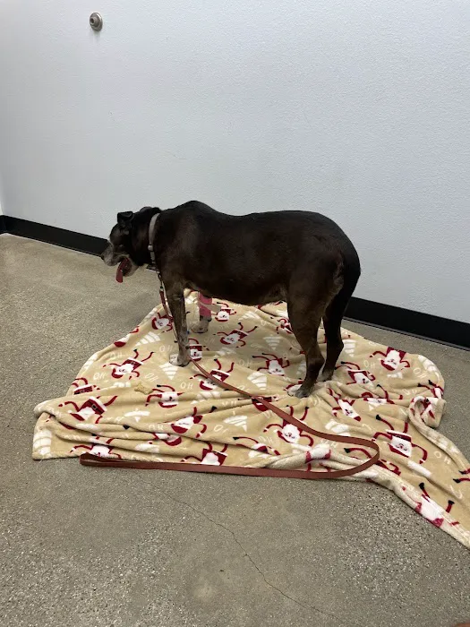 PetSmart Veterinary Services - Tujunga 7