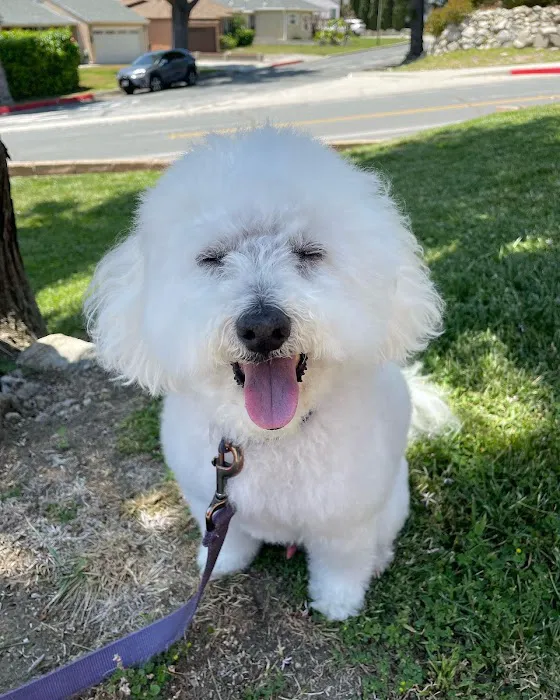 PetSmart Veterinary Services - Tujunga 5