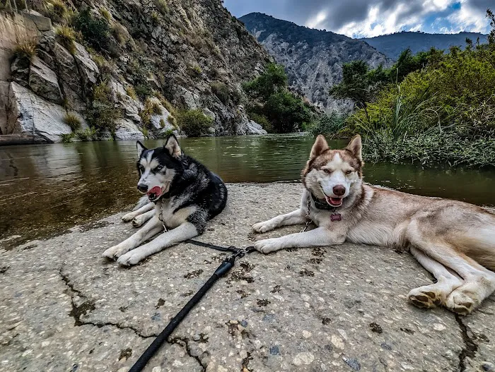 PetSmart Veterinary Services - Tujunga 4