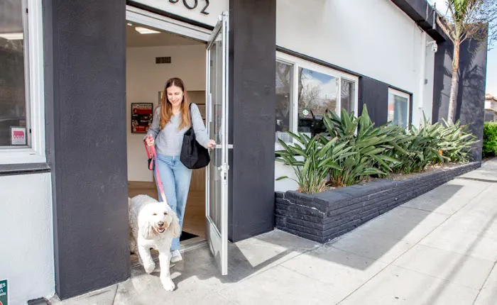 Crescenta Cañada Pet Hospital 10